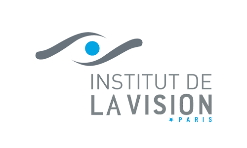 Institut de la vision